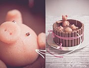 Pigs in the mud-cake oder die berühmte Blogger-Torte
