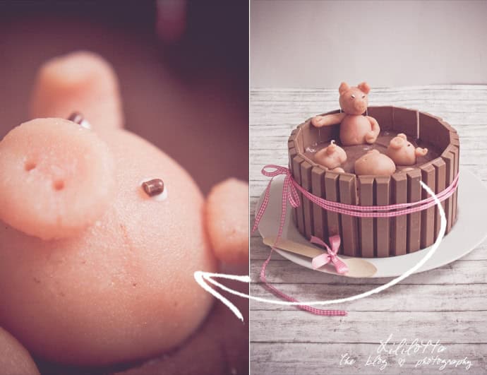 Pigs in the mud-cake oder die berühmte Blogger-Torte