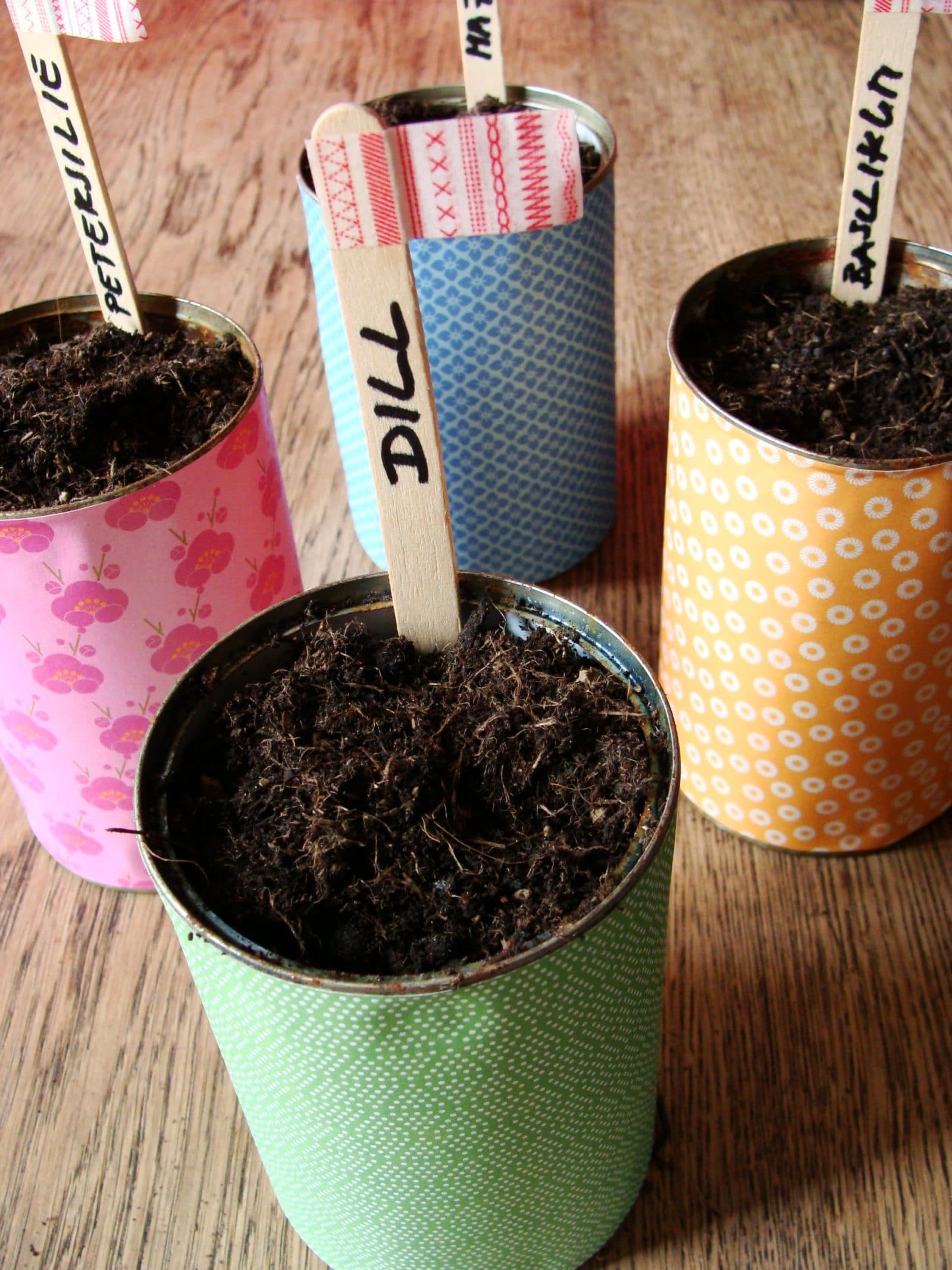 Mein kleiner Kräutergarten auf der Fensterbank - HANDMADE Kultur