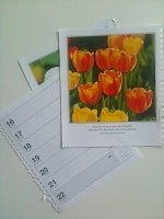 Kalender-Upcycling: 5-Minuten-DIY-Karten