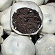 Oooohhh...Oreo Cake Pops