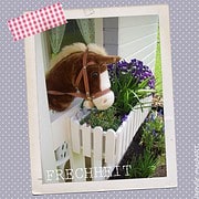 DIY Gartentraumhaus für kleine Prinzessinnen