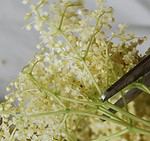 Holunderblüten-Küche