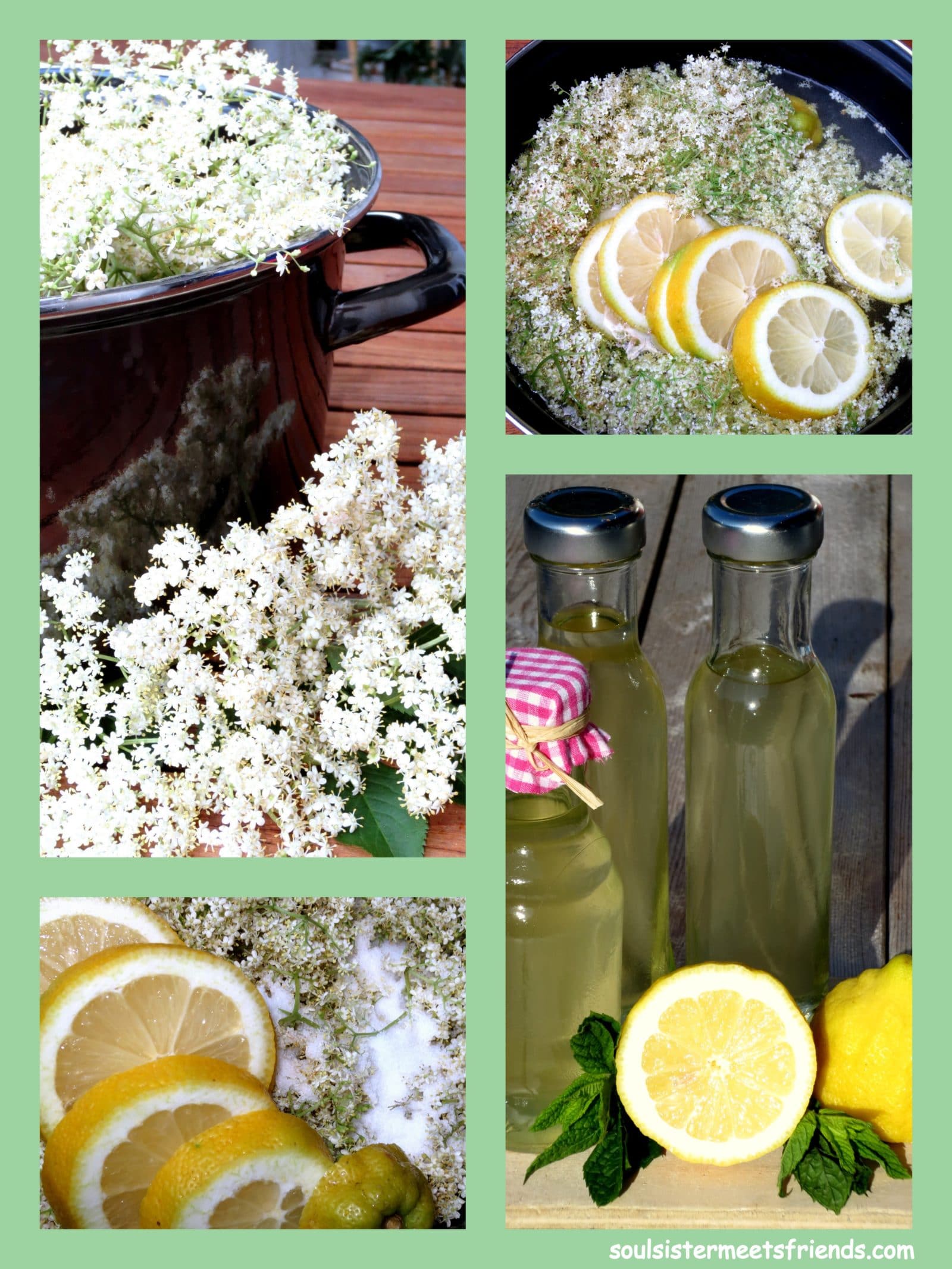 Holunderblüten-Sirup – einfach lecker!