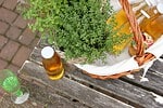 Selbstgemachter Holunderblütensirup