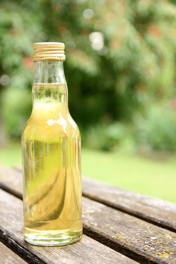 Selbstgemachter Holunderblütensirup