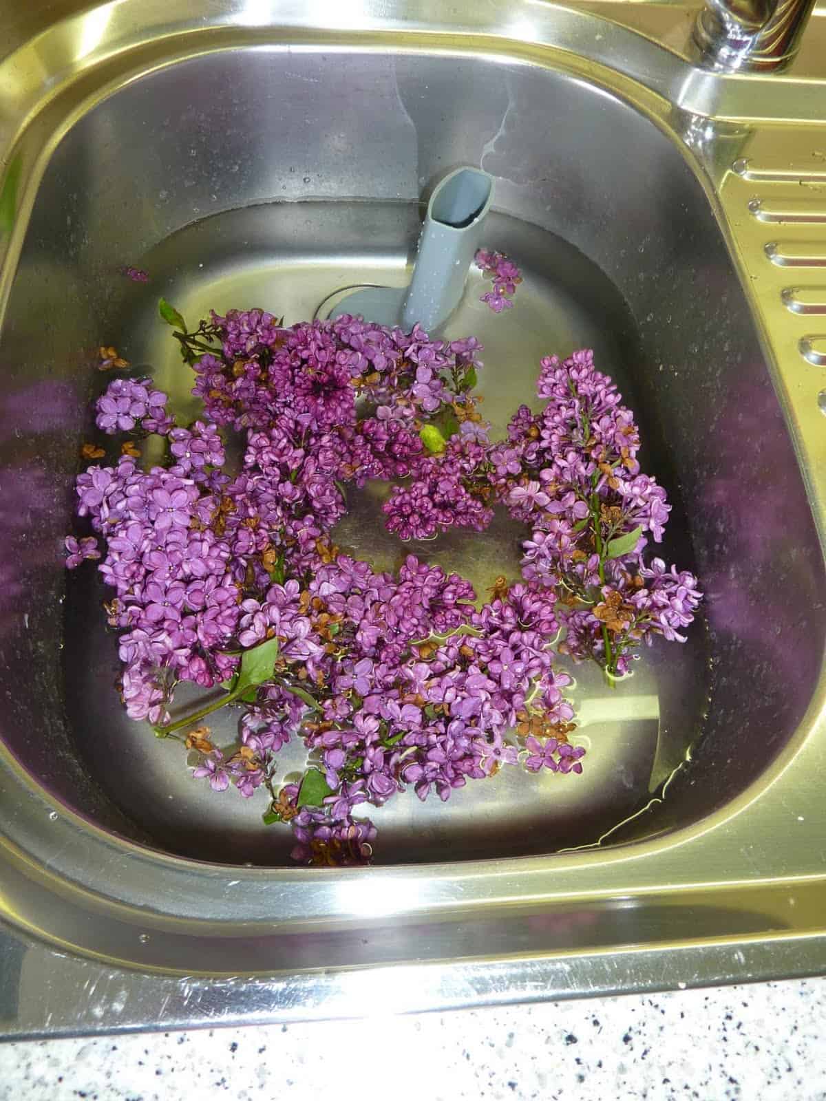 Fliederblüten-Sirup