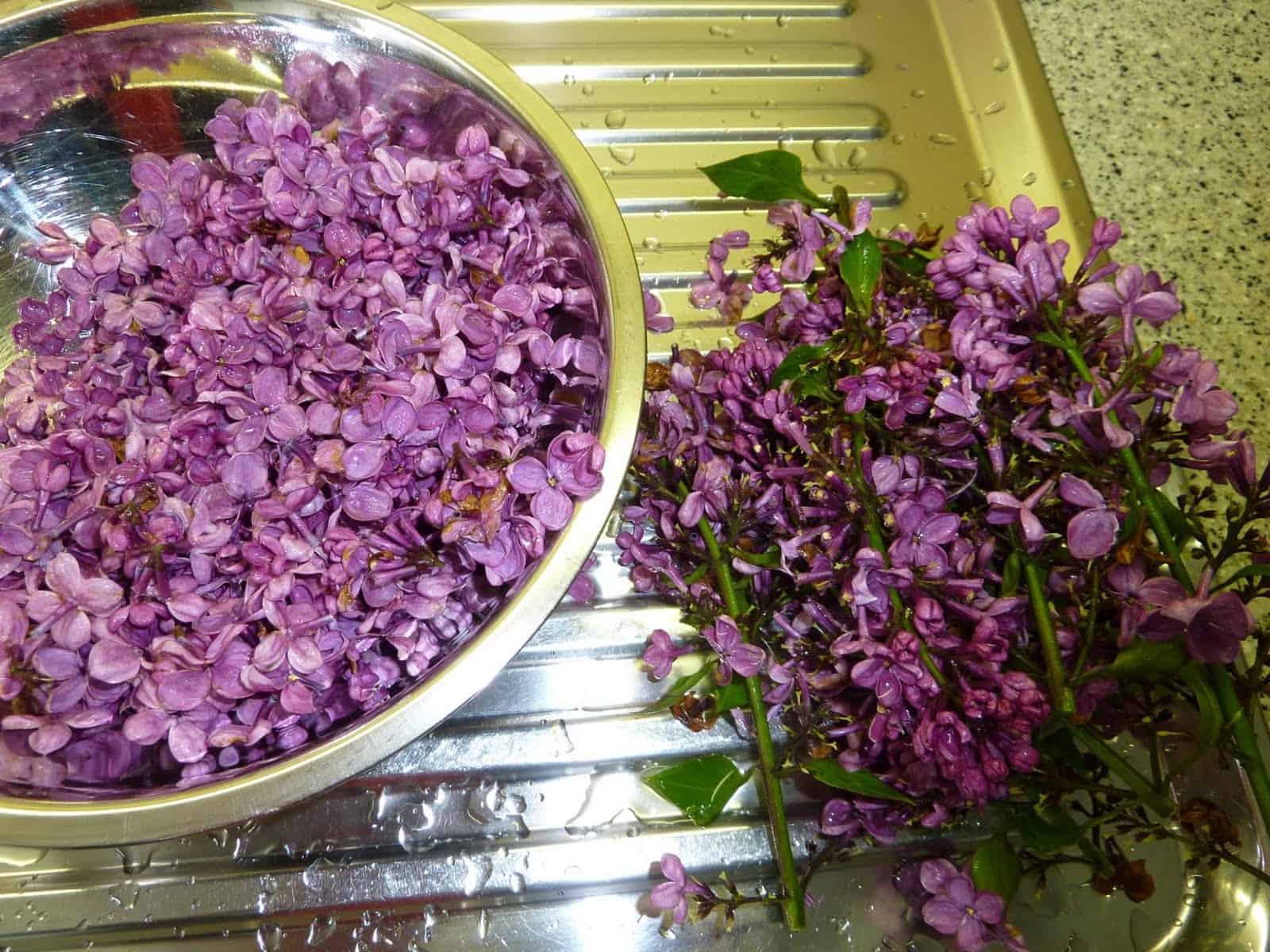 Fliederblüten-Sirup