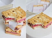 Sandwich-Icecream mit Schokokeks