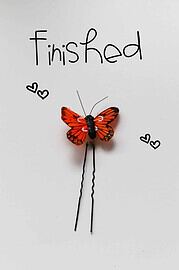 Butterfly Haarklammer
