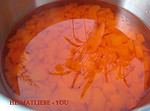 Aprikosen-Aperol-Gelee