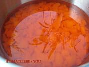 Aprikosen-Aperol-Gelee