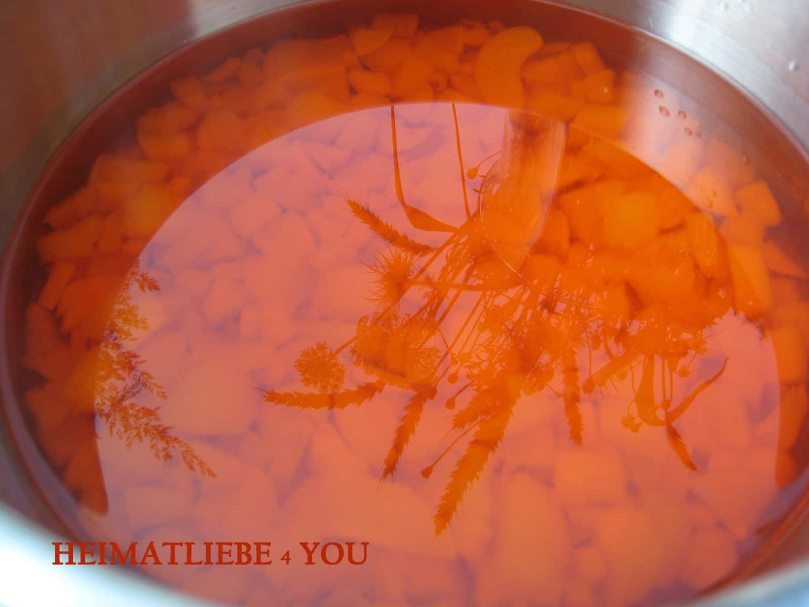 Aprikosen-Aperol-Gelee