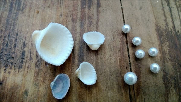 Muschel mit Perle