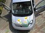 Autoaufkleber selbst gestalten Sommer Margeriten