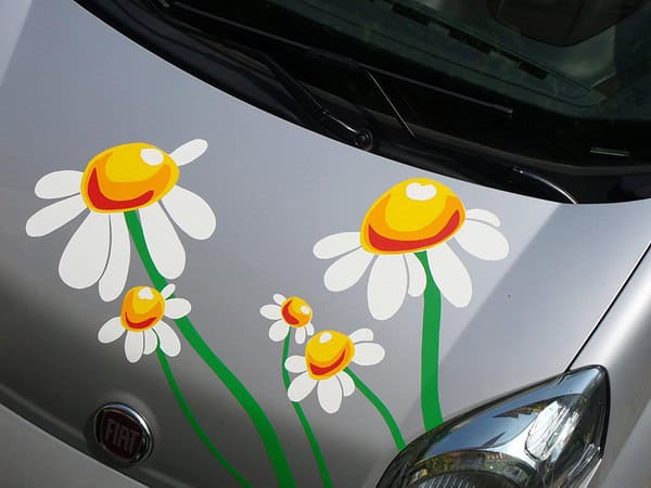 Autoaufkleber selbst gestalten Sommer Margeriten