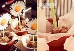 Funny Daisy Bread