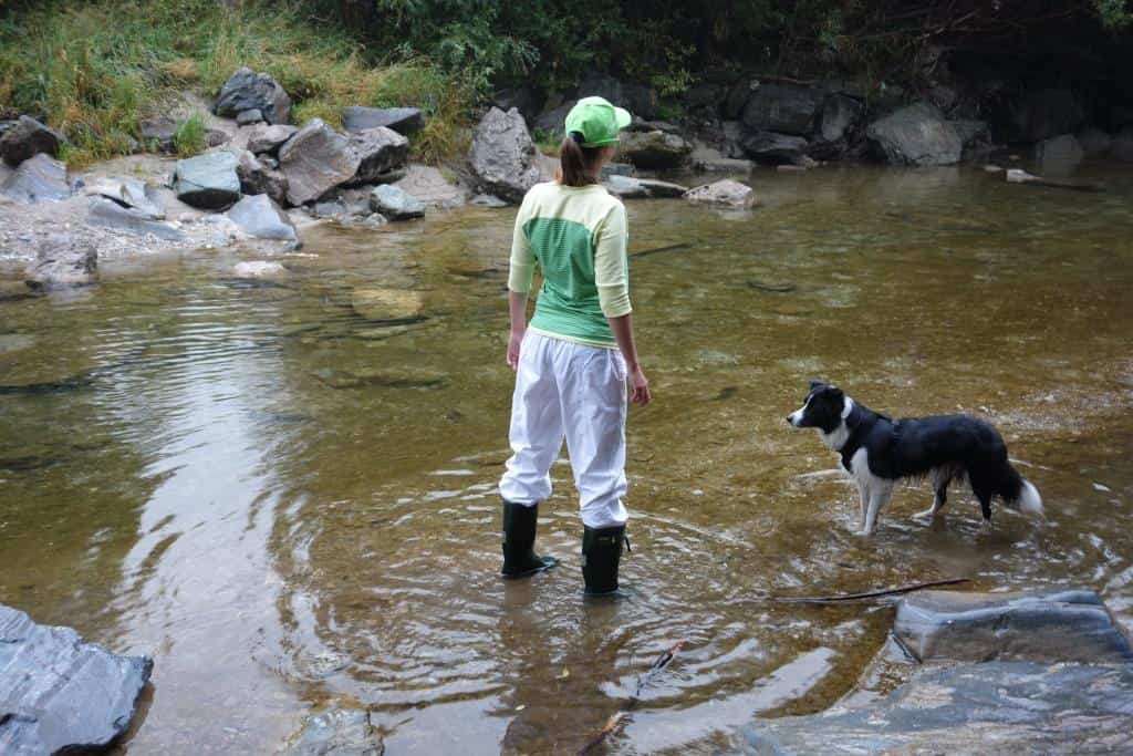 Easy Peasy Shirt – After the Rain