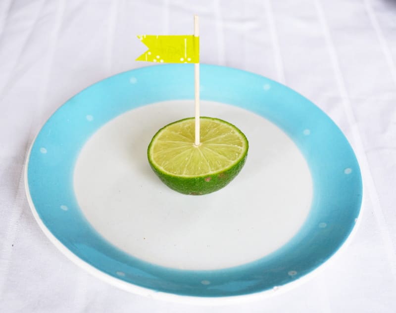 Partydeko: Limettentischkarten