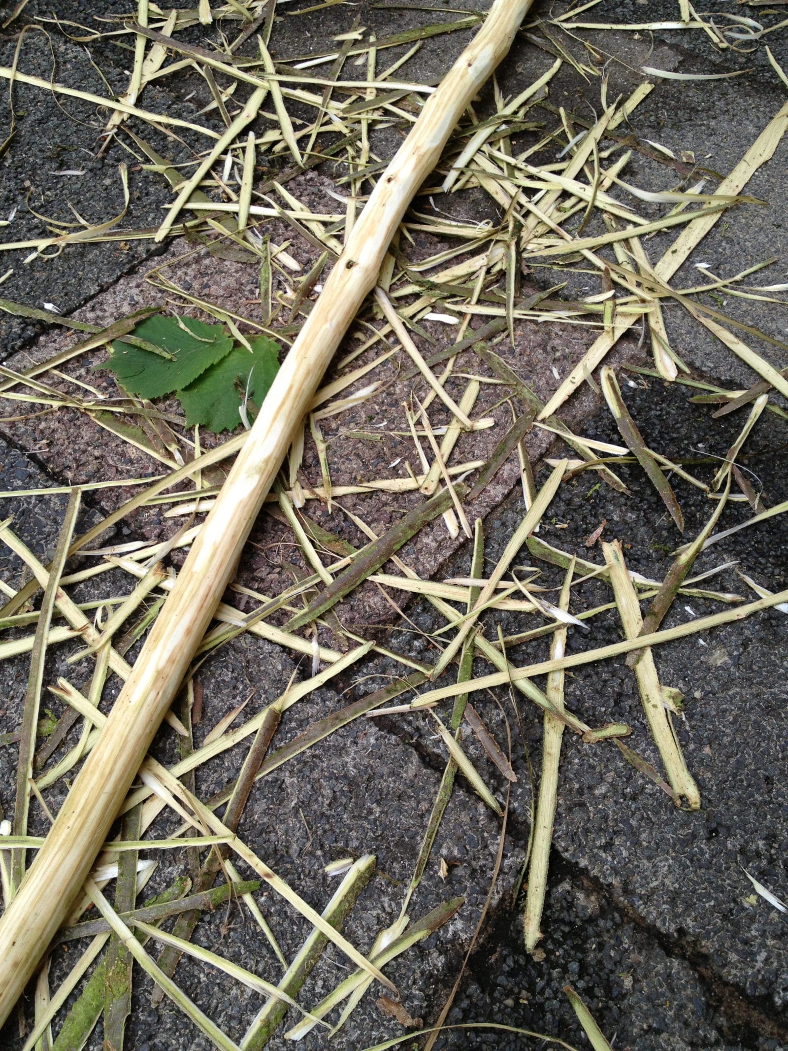 Wildholz- Kleiderleiter