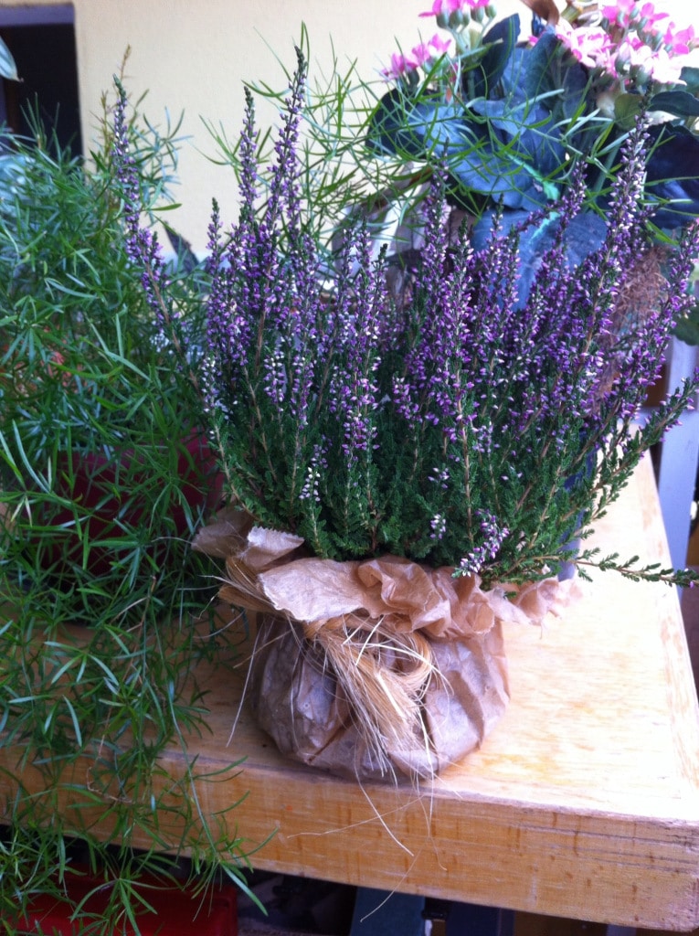 DIY: Tischdeko im Herbst - HANDMADE Kultur