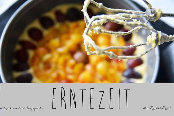 Erntezeit: Mirabellen-Küche