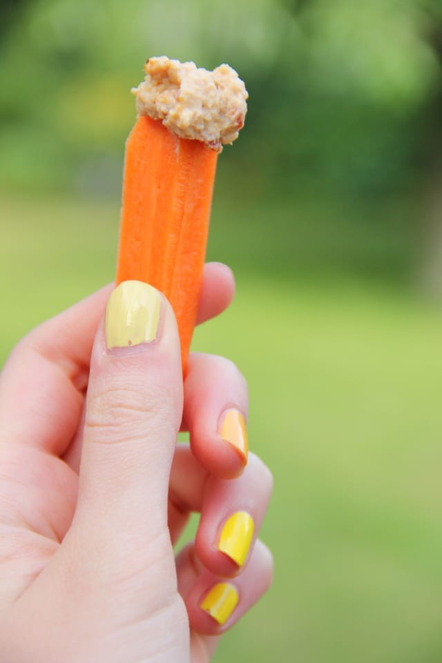 Tomaten Kirchererbsen Hummus