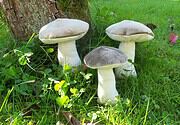 Pilze
