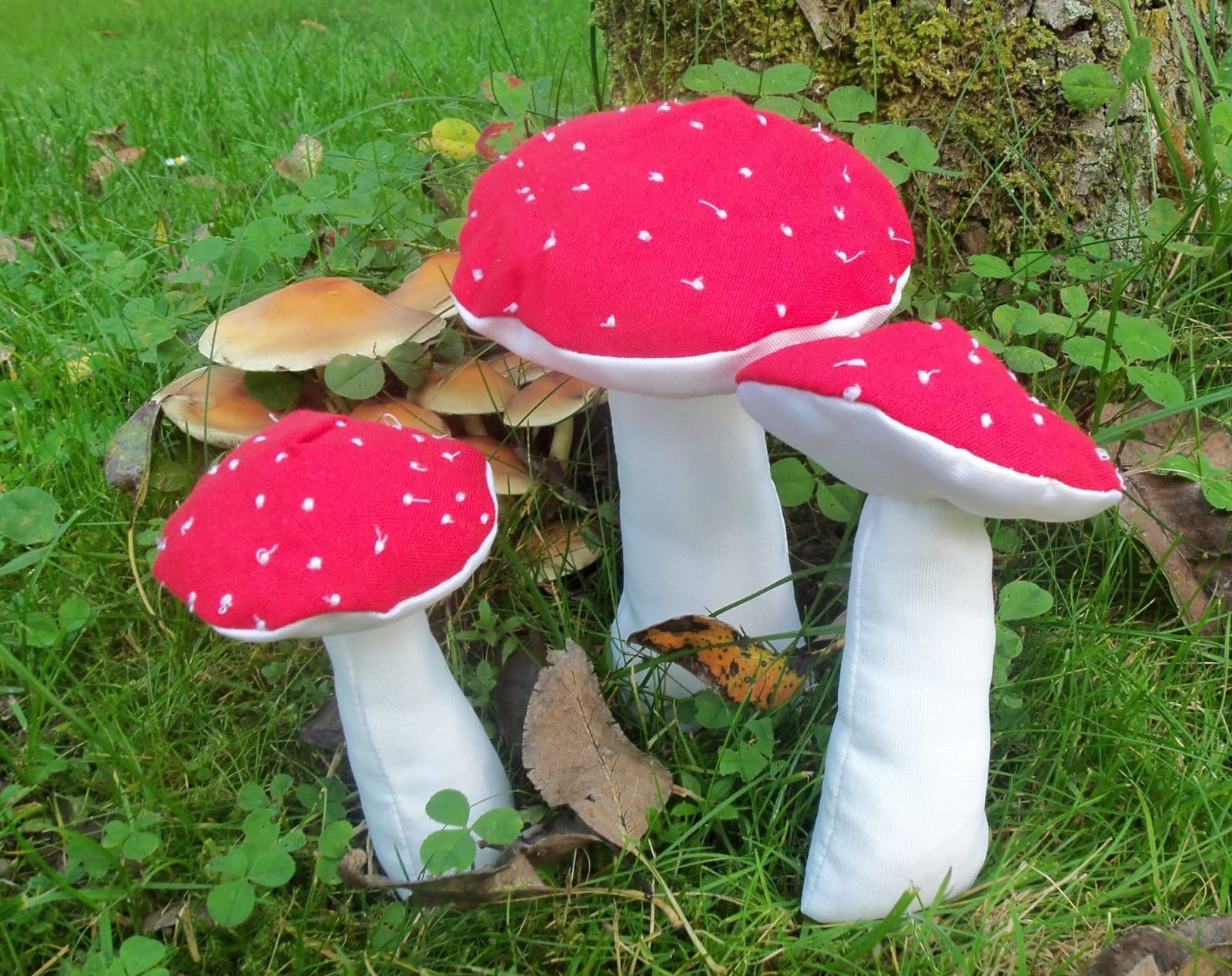 Fliegenpilz