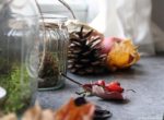 Herbst auf der Fensterbank
