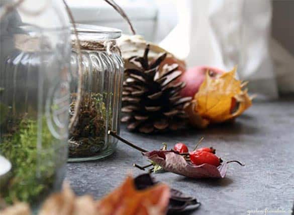 Herbst auf der Fensterbank