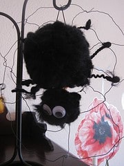 Spinne und Fliege
