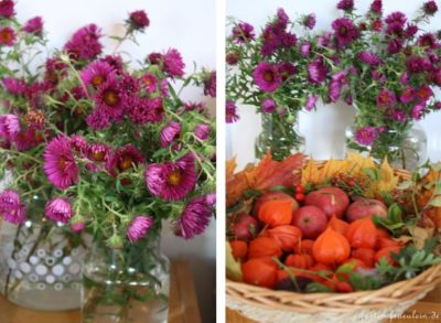 Herbstdeko mit Lampionblumen