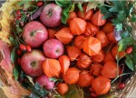 Herbstdeko mit Lampionblumen