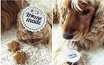 STAR… dog biscuit (Hundekekse)
