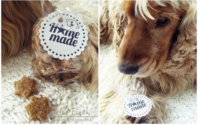 STAR… dog biscuit (Hundekekse)