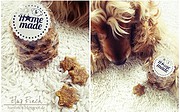 STAR… dog biscuit (Hundekekse)
