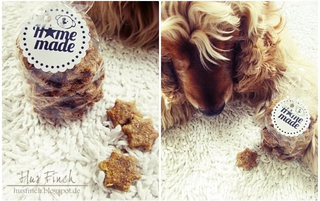 STAR… dog biscuit (Hundekekse)