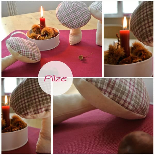 Jetzt schiessen die Pilze aus dem Boden …