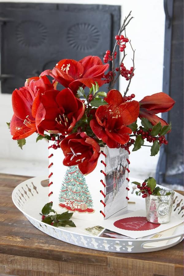 Ode an die Amaryllis