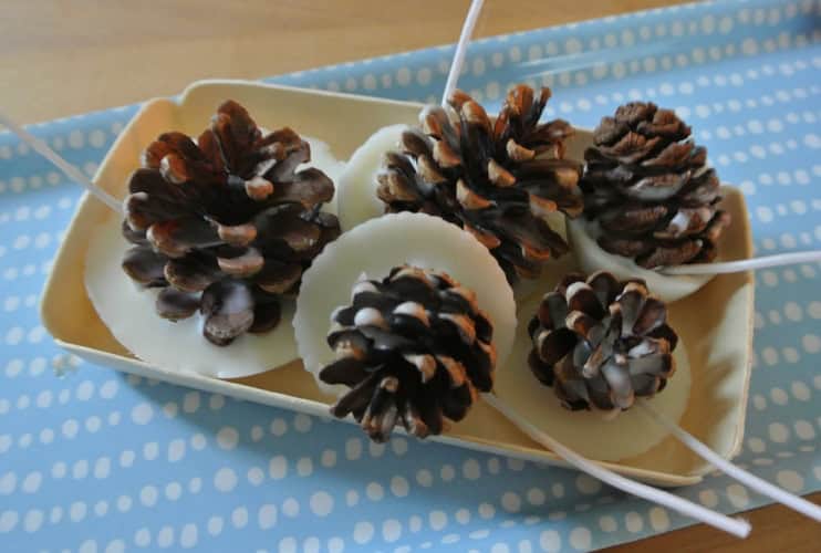 Knisternde Kaminanzünder – easypeasy selbstgemacht!