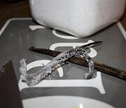 Einfach genial: Vanillezucker DIY