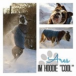 Frostbeulenalarm- Hunderhoodie für Frostbeulen