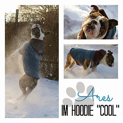 Frostbeulenalarm- Hunderhoodie für Frostbeulen