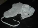 Mausi