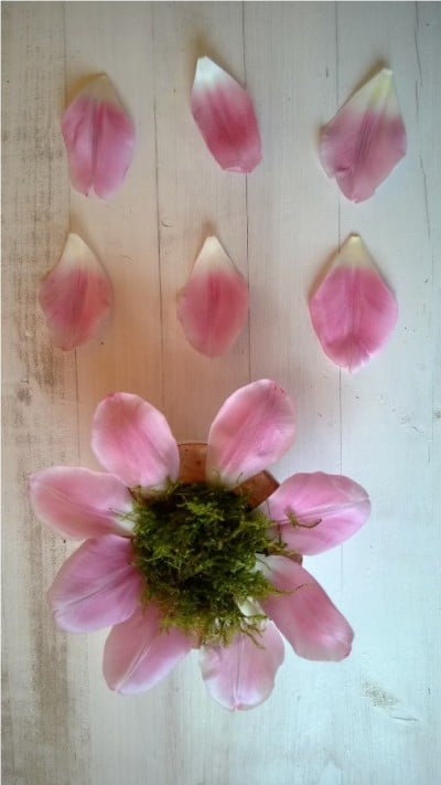 Kreatives Blumenarrangement aus Fugenmasse, rosa Petalen und grüner Moosdekoration, handgemacht, für Dekorationen und Kunstprojekte.
