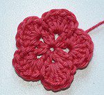 Süße Pflaumenblüte und Kirschblüte