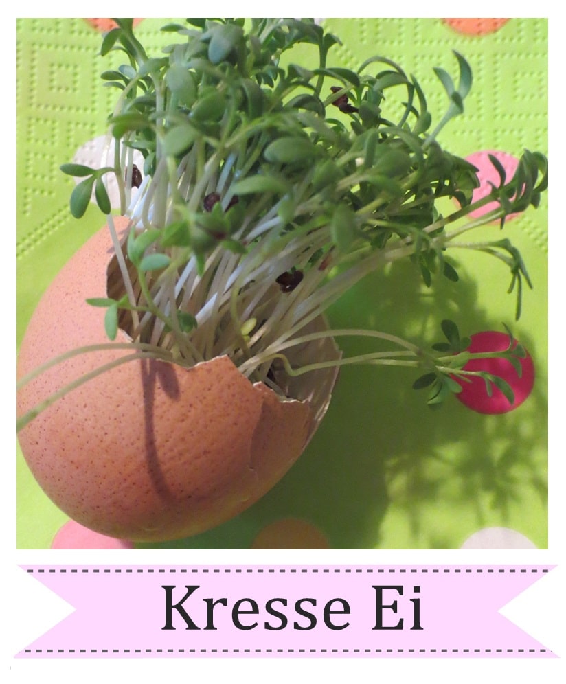 Kresse Ei