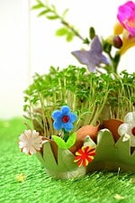Frühling in der Eierschale