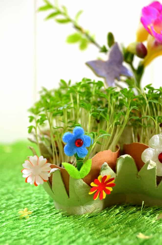Frühling in der Eierschale